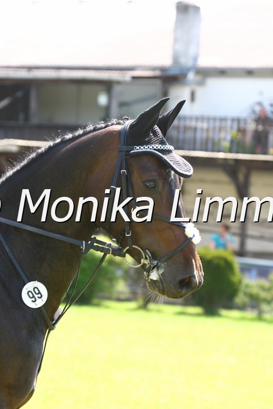 005M4625_Dior_Stil A.JPG